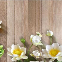 Tranh Dán Tường Siêu Ngang SN02 Tranh Dán Tường Siêu Ngang SN02