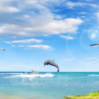  Tranh Dán Tường Siêu Ngang SN06