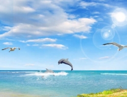  Tranh Dán Tường Siêu Ngang SN06