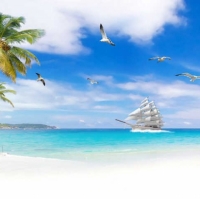 Tranh Dán Tường Siêu Ngang SN10 Tranh Dán Tường Siêu Ngang SN10