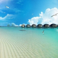 Tranh Dán Tường Siêu Ngang SN11 Tranh Dán Tường Siêu Ngang SN11