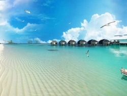  Tranh Dán Tường Siêu Ngang SN11