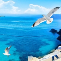 Tranh Dán Tường Siêu Ngang SN15 Tranh Dán Tường Siêu Ngang SN15