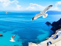  Tranh Dán Tường Siêu Ngang SN15