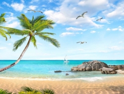  Tranh Dán Tường Siêu Ngang SN20