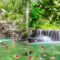  Tranh Dán Tường Siêu Ngang SN21