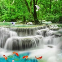  Tranh Dán Tường Siêu Ngang SN22