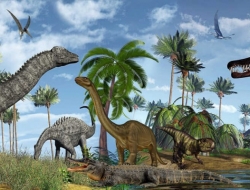  Tranh Dán Tường Siêu Ngang SN27