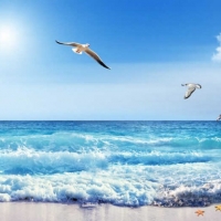 Tranh Dán Tường Siêu Ngang SN30 Tranh Dán Tường Siêu Ngang SN30