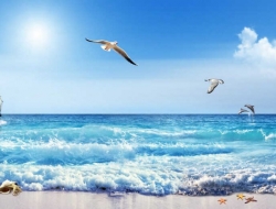  Tranh Dán Tường Siêu Ngang SN30