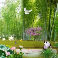 Tranh Dán Tường Siêu Ngang SN34 Tranh Dán Tường Siêu Ngang SN34