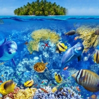 Tranh Dán Tường Siêu Ngang SN36 Tranh Dán Tường Siêu Ngang SN36