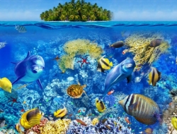  Tranh Dán Tường Siêu Ngang SN36