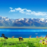  Tranh Dán Tường Siêu Ngang SN38