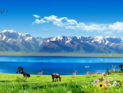  Tranh Dán Tường Siêu Ngang SN38