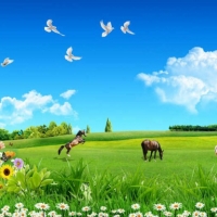  Tranh Dán Tường Siêu Ngang SN39