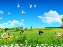  Tranh Dán Tường Siêu Ngang SN39