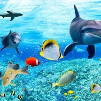 Tranh Dán Tường Siêu Ngang SN40 Tranh Dán Tường Siêu Ngang SN40