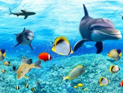  Tranh Dán Tường Siêu Ngang SN40