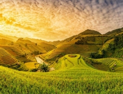  Tranh Dán Tường Siêu Ngang SN44