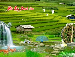 Tranh Dán Tường 3D Sơn Thủy Tiến Phát Sttp03