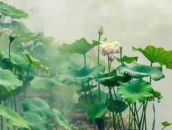 Tranh Dán Tường Sơn Thủy ST20