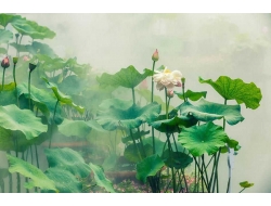 Tranh Dán Tường Sơn Thủy ST20
