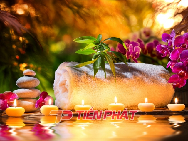 Tranh Dán Tường 3D Spa Tiến Phát Sptp05 Tranh Dán Tường 3D Spa Tiến Phát Sptp05