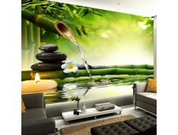 Tranh Dán Tường Spa SP30