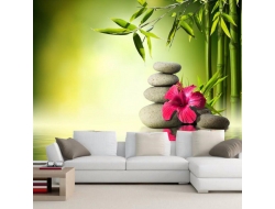 Tranh Dán Tường Spa SP38