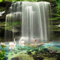 Tranh Dán Tường 3D Thác Nước Tiến Phát Decor Tntp74