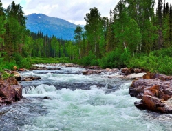 Tranh Dán Tường Thác Nước TN20 Tranh Dán Tường Thác Nước TN20