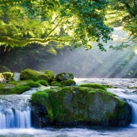 Tranh Dán Tường Thác Nước TN22 Tranh Dán Tường Thác Nước TN22