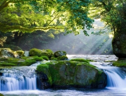 Tranh Dán Tường Thác Nước TN22 Tranh Dán Tường Thác Nước TN22