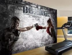 Tranh Dán Tường Boxing Tm04