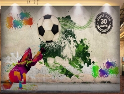 Tranh Dán Tường Thể Thao TT13