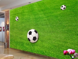 Tranh Dán Tường Thể Thao TT16