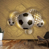 Tranh Dán Tường Thể Thao TT19