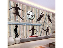 Tranh Dán Tường Thể Thao TT34