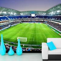 Tranh Dán Tường Thể Thao TT37