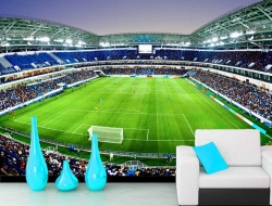 Tranh Dán Tường Thể Thao TT37