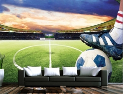 Tranh Dán Tường Thể Thao TT40