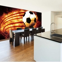 Tranh Dán Tường Thể Thao TT43