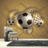 Tranh Dán Tường Thể Thao TT45