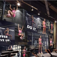 Tranh Dán Tường Thể Thao TT59