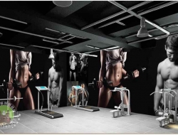 Tranh Dán Tường Thể Thao TT60