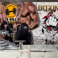 Tranh Dán Tường Thể Thao TT61