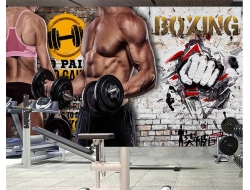 Tranh Dán Tường Thể Thao TT61