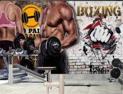 Tranh Dán Tường Thể Thao TT61