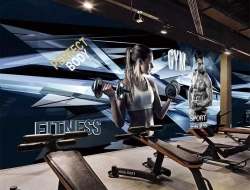 Tranh Dán Tường Thể Thao TT62